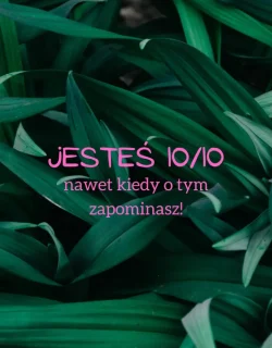 10/10